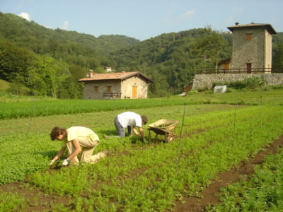 agricoltura2